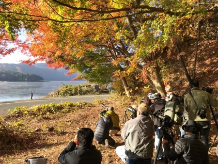 Momiji tunnel in the lake Kawaguchiko