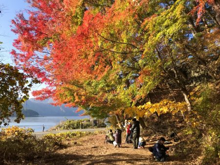 Momiji tunnel in the lake Kawaguchiko