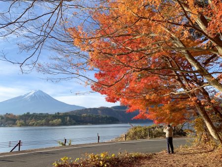 Momiji tunnel in the lake Kawaguchiko