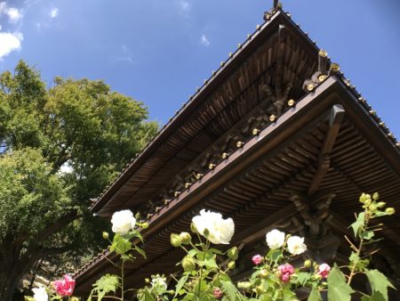 Sanmon gate of Eishoji temple in Kamakura