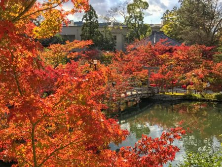 Autumn leaves in Eikando temple