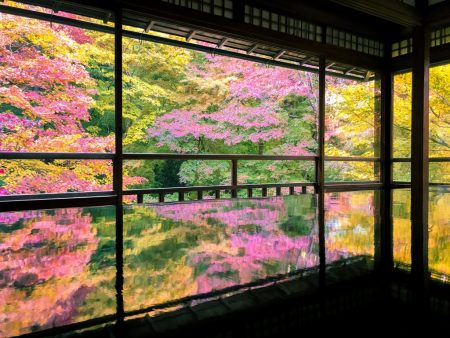 Autumn leaves in Rurikoin temple in Kyoto