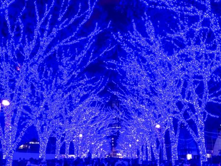 Shibuya Blue Cave 2018