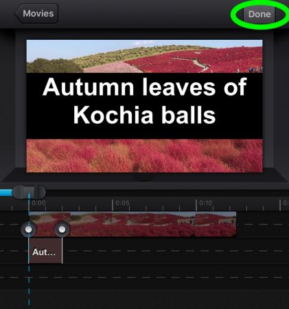 Add a border on the text by Cute Cut Pro3