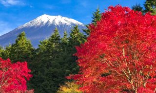 Autumn leaves and Mount Fuji in Nishiusuzuka.