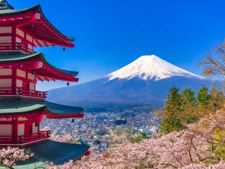 Cherry blossoms and 5 story pagoda in Arakurayama Sengen Park