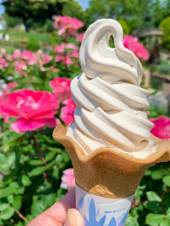 Rose flavored soft serve ice cream at Minato-no-mieru-oka park