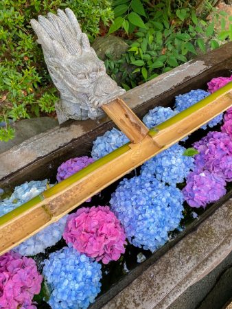 Chozuya filled with colorful hydrangea in Enoshima island